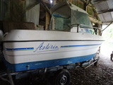 b2 marine asteria + honda 50 cv