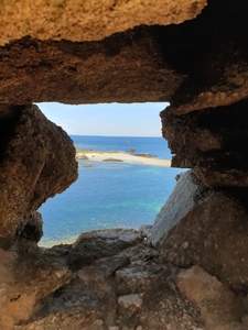 Faune et Flore marine !