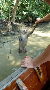 Faune et Flore marine !