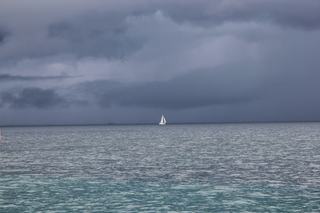 Après la pluie...