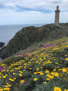 Cap Bear, France, au mois de mai