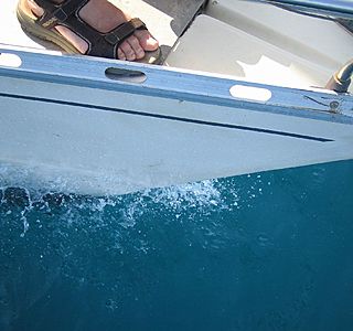 Pieds marins