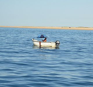 Votre coup de coeur des salons nautique de l'année