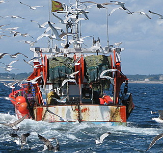 Bateaux de pêche rencontrés en mer