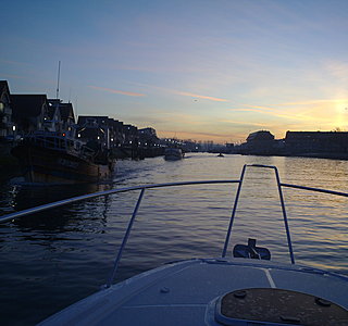 Belle de nuit