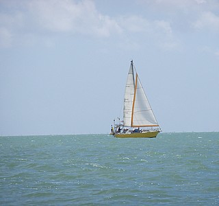 Mai - Fait ce qu'il te plait