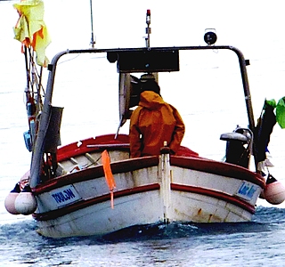 Bateaux de pêche
