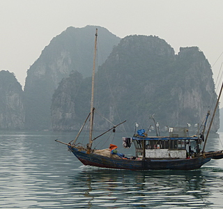 Bateaux de pêche