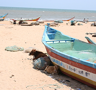 Bateaux de pêche