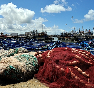 Bateaux de pêche