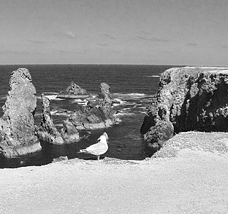 La mer en noir et blanc, rien que la mer, rien que du noir et blanc !