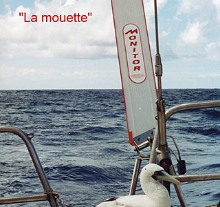 Les animaux de compagnie à bord