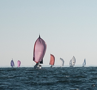 Sous spi dans la brise