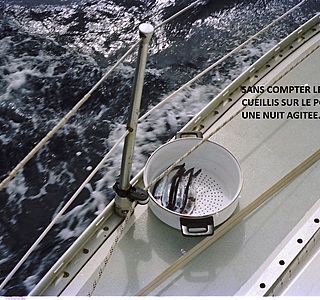 Pêche miraculeuse