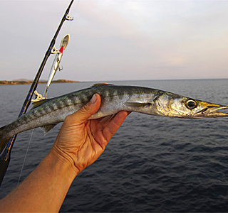 Pêche miraculeuse