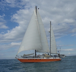 Galapagos 43