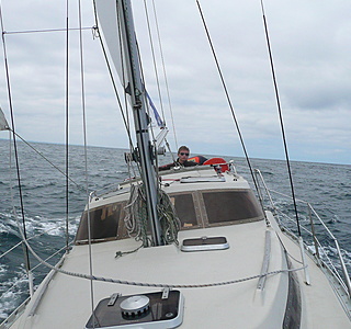 Evasion 29 biquille