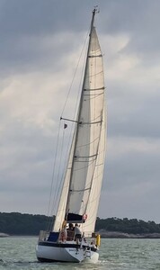 Gladiateur