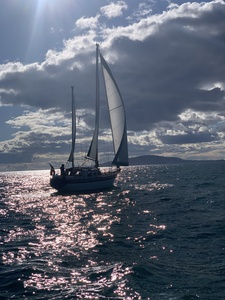 Seastream 34