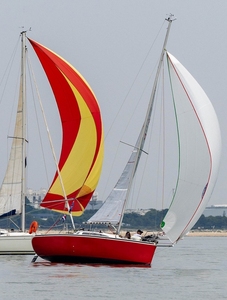 SKIPPI 750