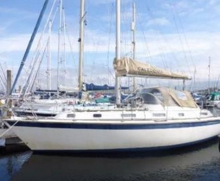 Westerly Seahawk 34