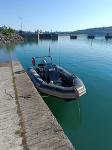 Narwhal NK 580 BP